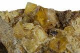 Yellow Cubic Fluorite Crystal Cluster on Matrix - Morocco #347788-1